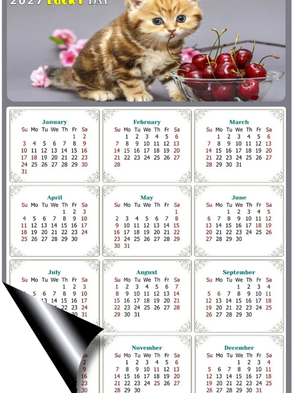 2027 Magnetic Calendar - Today is my Lucky Day - Cat Themed 016 (7 x 10.5)